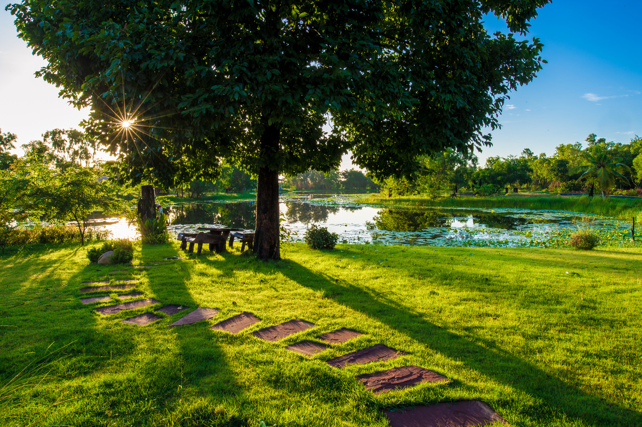 Shaded walkway along the lake